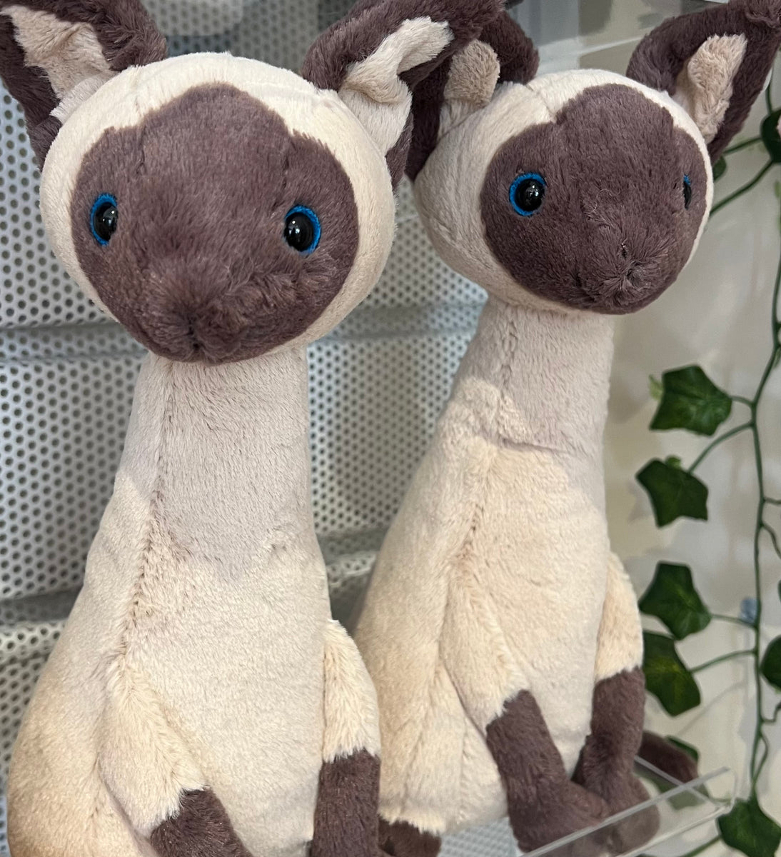 Jellycat Iris Siamese Cat – Dizzyware
