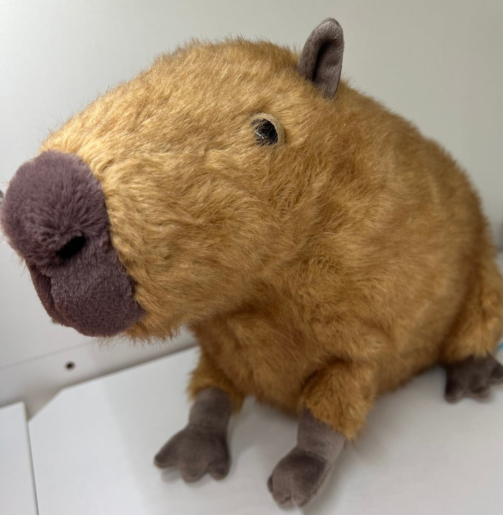 Jellycat Clyde Capybara